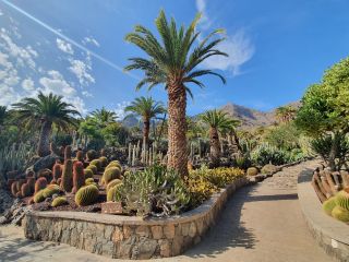2020-10-GC-Cactualdea-PM-NN-12.jpg